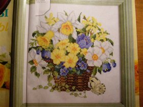 нарциссы и примулы