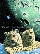 Leopards in space