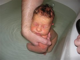 Доплавались!