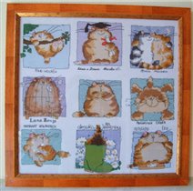 Робин gorgonasola (Олин) - коты с календаря М.Шерри
