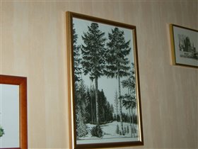 Закончила сосны перминовские.