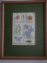 Стыдно но название не помню кажется - Красота природы