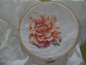 Розы Гувернер