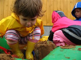 Ищем муравьев