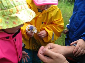 Поймали лягушонка