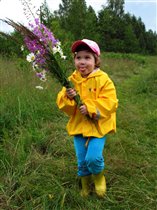 Озорная букашка. 