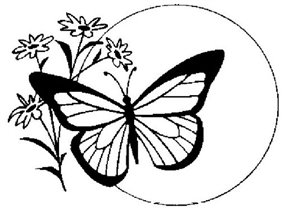 buterfly2