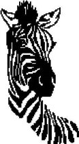 Зебра