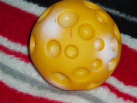 мячик -головка сыра