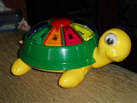 черепаха 