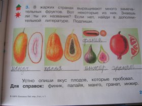Экзотический плод :)))
