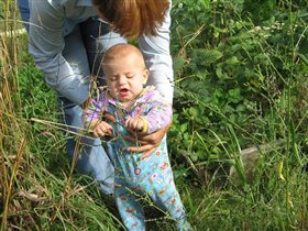 Что-что в огороде растет?