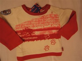 Толстовка на флисе, арт.31141