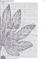 maple tree leaf 2