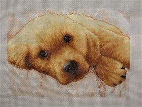 Golden Puppy (Dimensions 65038)