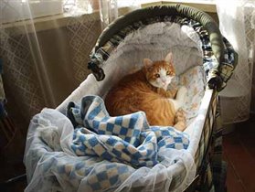 Темка подрастает