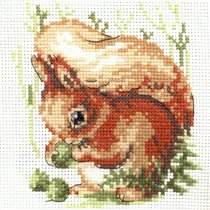 Кларт. Белочка.