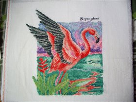 Золотое Руно. В лучах заката.