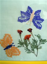 Группа бабочек