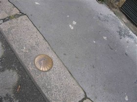 Медная ракушка на тротуаре