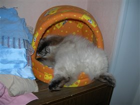 Василиса спит. Нам 1,2 года.