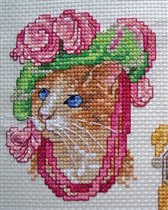 Antique Cat - Pink Lady