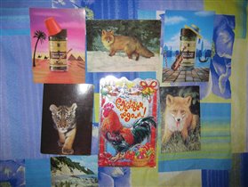 Разные наши