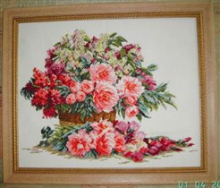 Мой первый Ланарте