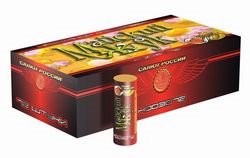 Н003072 - Майский жук