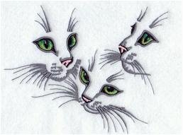 трио кошки