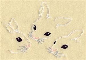 трио кролики