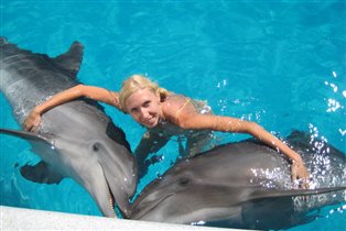 А дельфины добрые! :)
