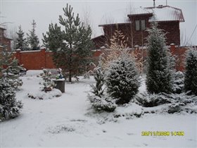 сад, покрытый первым снегом