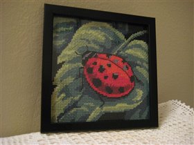 Dimensions - Божья коровка - набор