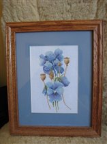 Lanarte - набор