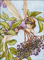 Cicely Mary Barker - Фея черноплодки