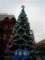 новогодняя елка 2008-2009 г
