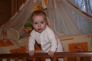 нам 6 месяцев с небольшим 