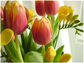 Здравствуй, весна!