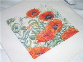 Poppies, by Thea Gouverneur...