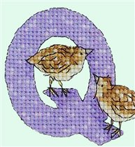 Q for quail