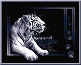 Белый тигр - Панна