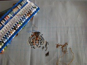 Мир ДИМ процесс