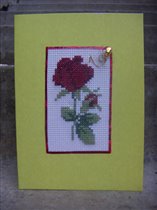 Открытка_Роза