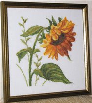 RTO M082 'Подсолнух'