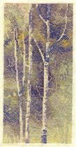 Derwentwater - Silver Birches Watercolour