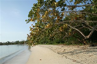 Пляж в Negril