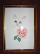 Кошечка с розой (со вспышкой)