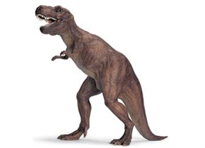 Tyrannosaurus Rex	