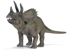 Triceratops	